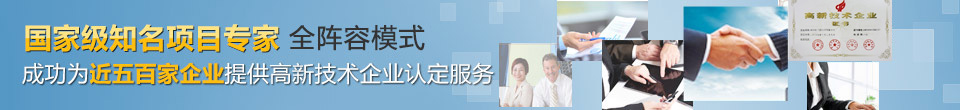 成功高新技術企業陣容模式
